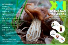XXI Jornadas Micológicas del Parque Natural de la Sierra Norte de Sevilla