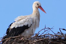 Talleres Infantiles – Museo Etnográfico 