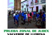 Prueba zonal de JUDEX 