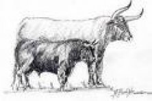 Inauguración del Museo Taurino