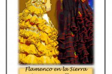 Bailes y cantes de nuestra tierra