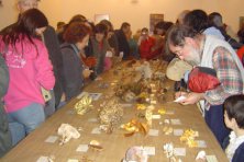 Jornadas Micológicas “Sierra Norte de Sevilla”