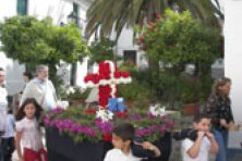 Cruces de Mayo 2014 