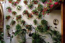 Concurso de Decoración de Patios 