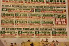 Gran Final de Novilladas de Promoción 