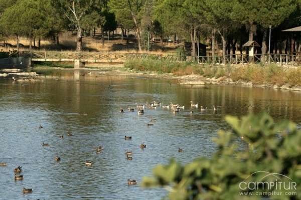 Parque y Reserva Las Quinientas