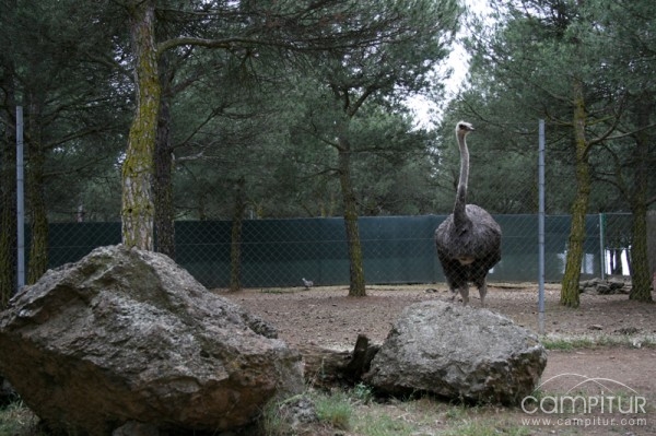 Parque y Reserva Las Quinientas