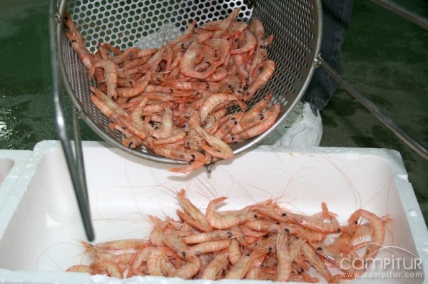 Pescados y Mariscos Leomar