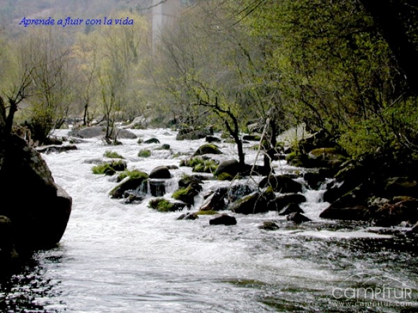 Gabinete de Psicología Lola Padilla