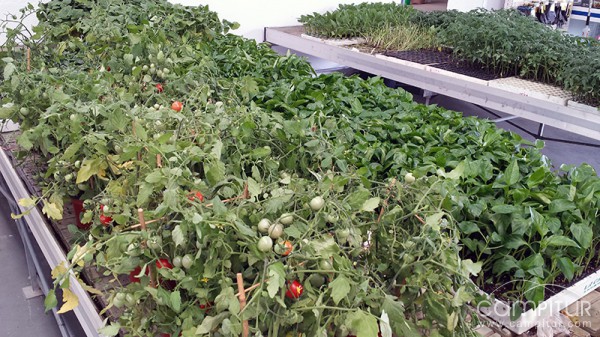 Agricentro Santa Bárbara S.L.