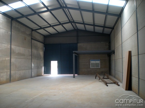 Ingeniero Técnico Industrial Carlos Paniagua 