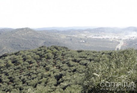 El 18 de marzo se inaugurará la nueva Oficina de Turismo de Alanís 