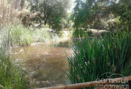 El Jardín Botánico “El Robledo” de Constantina cambia su horario de visitas  