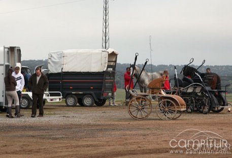 Presentado el V Raid Hípico Valle de Guadiato en SICAB 
