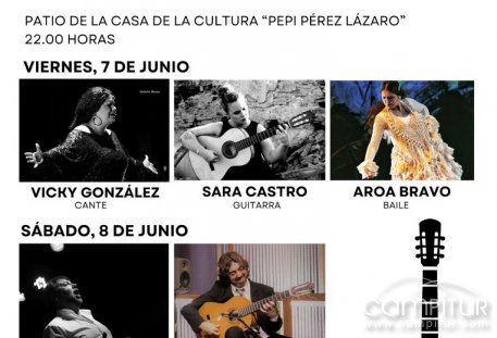 IV Festival Flamenco Villa de Usagre