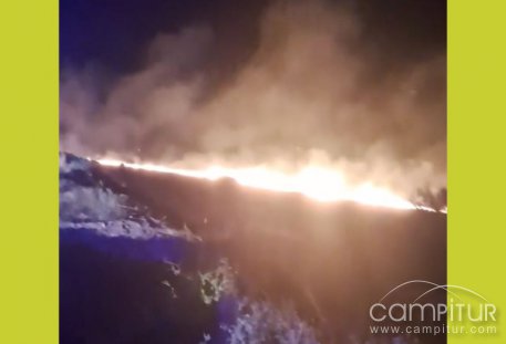 Noche de incendio en la ladera del castillo moviliza a cuerpos de seguridad y vecinos