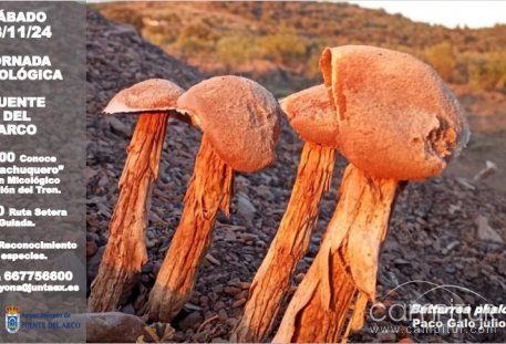 Jornadas Micológicas en Fuente del Arco 