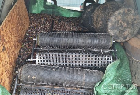 Interceptados en un olivar de Usagre cuando sustraían 4.000 kg de aceitunas
