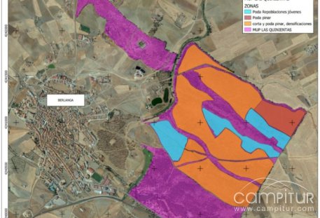 Berlanga impulsa la regeneración del Parque Las Quinientas con un ambicioso proyecto medioambiental
