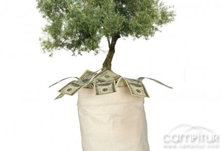 Azuaga y Berlanga reciben nuevas subvenciones para impulsar mejoras locales y fomentar el desarrollo sostenible