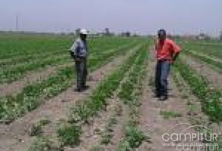 La contratación de seguros agrarios será apoyada por la Junta de Extremadura con 14 millones de euros